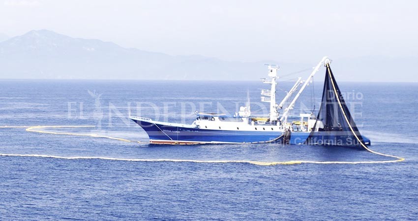 Sanciones a quienes realicen prácticas de pesca furtiva deben empezar por empresas pesqueras y no por el pescador ribereño