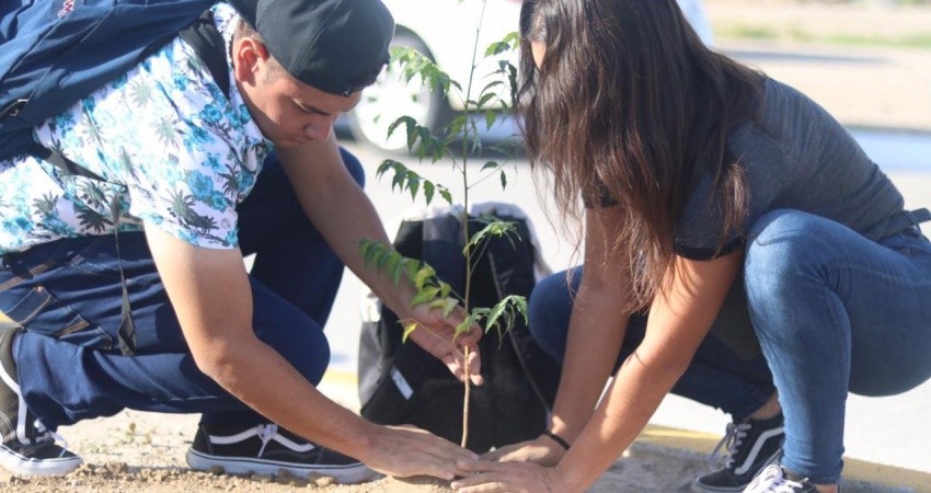 20 mil árboles ha plantado en La Paz la administración de Rubén Muñoz