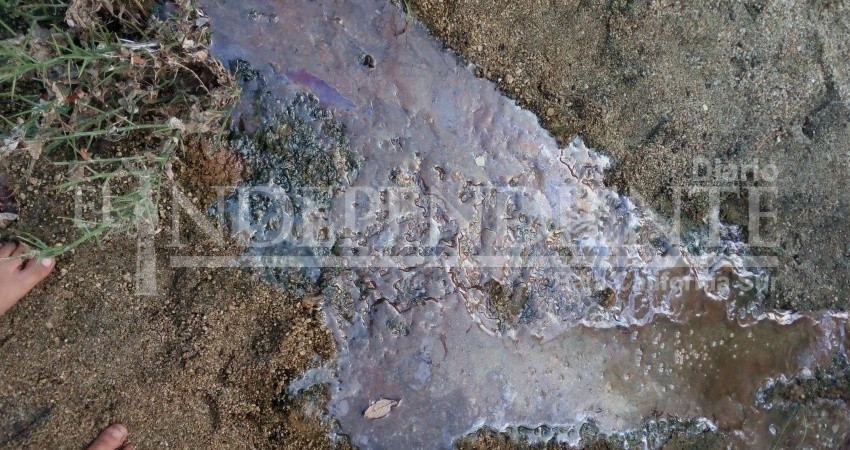 Denuncian ciudadanos charcos de aceite en el arroyo Costa Azul