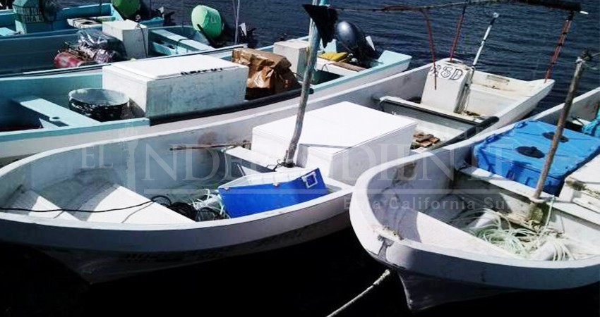 Van contra embarcaciones menores que sean utilizadas para pesca ilegal en Cabo del Este