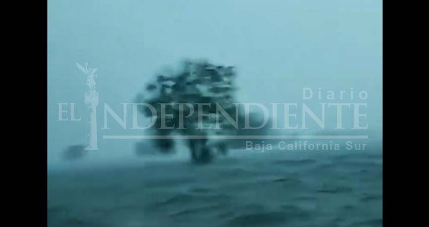 Las inundaciones en Houston que parecen un tsunami