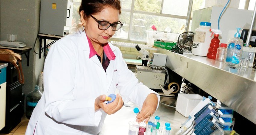 Se volvería a importar medicina en caso de desabasto: AMLO