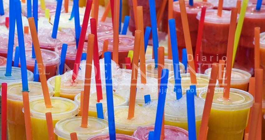 Sin aplicarse en Los Cabos sanciones por incumplimiento a ley que prohíbe los plásticos