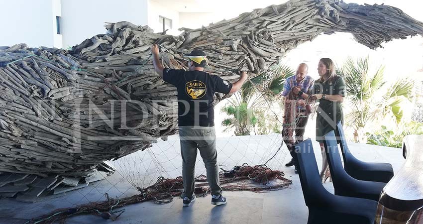Invitan a coctel en beneficio del rescate de ballenas enmalladas en Los Cabos