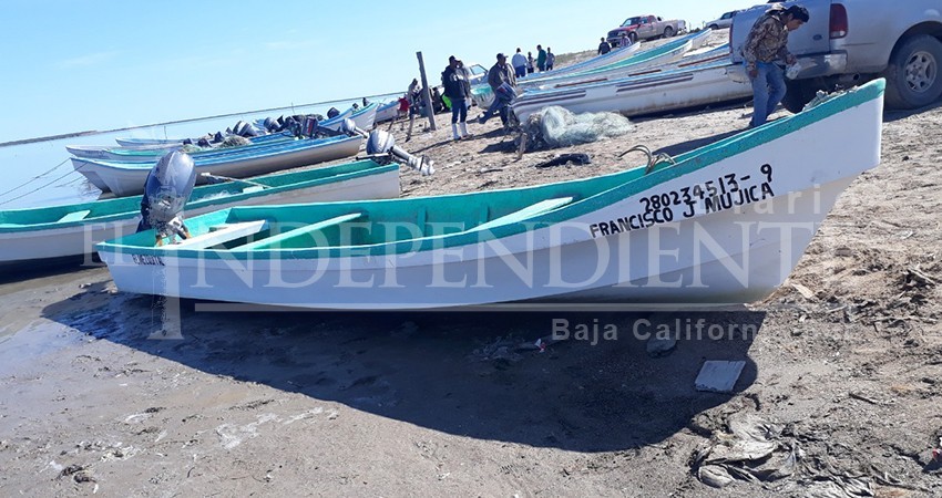 BCS, rezagada en reglamentación pesquera