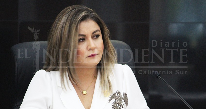 No hay reglas que impidan “congelar” las leyes de la oposición: Daniela Rubio