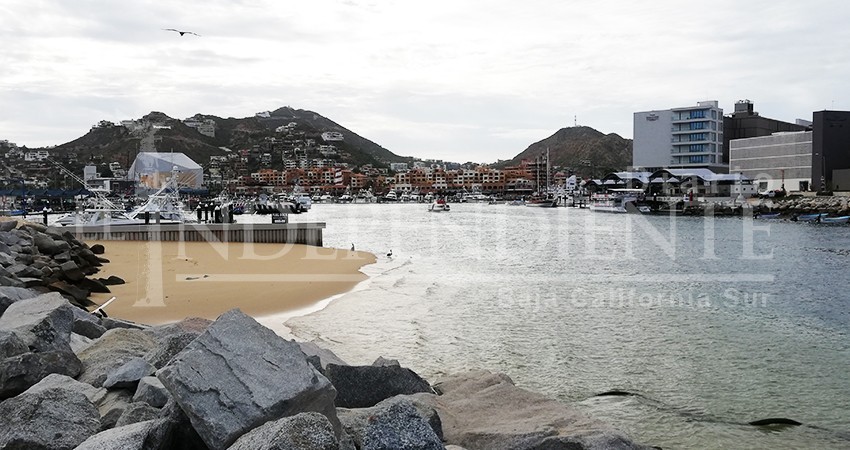No hay vertimiento de contaminantes en la marina de CSL: Coepris