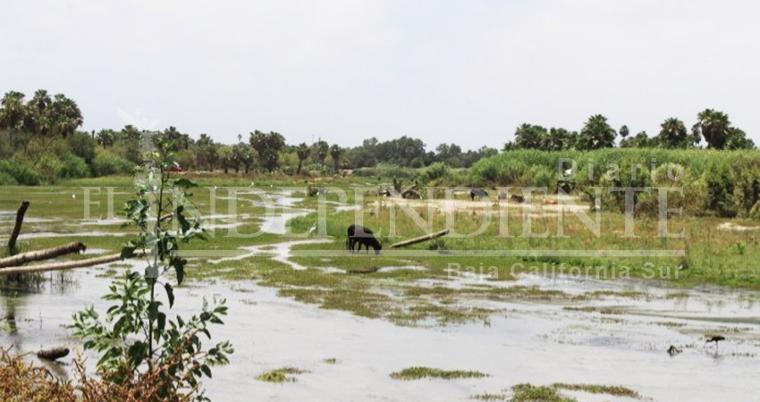 Peligran recursos para conservación del Estero de San José