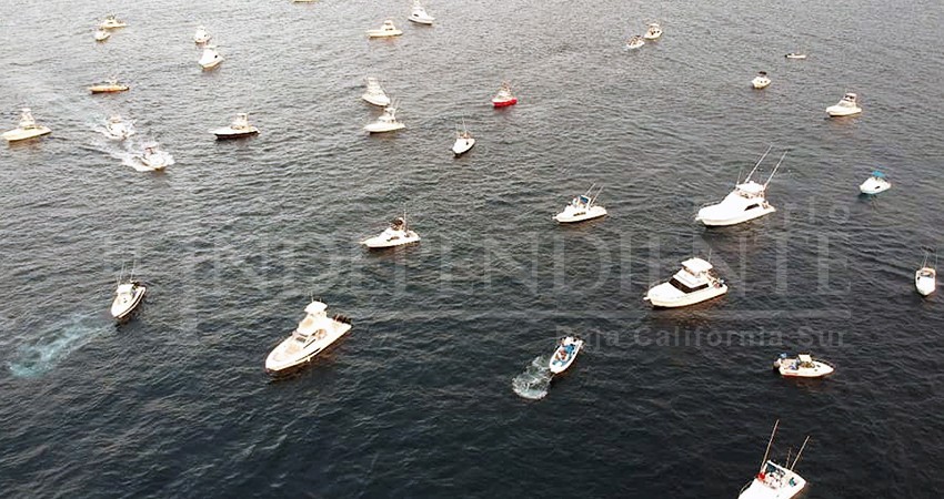 Arranca temporada alta de torneos de pesca