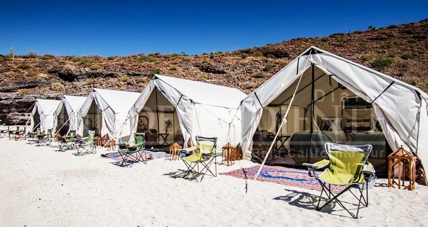 Apostará Los Cabos al turismo ecológico en 2020