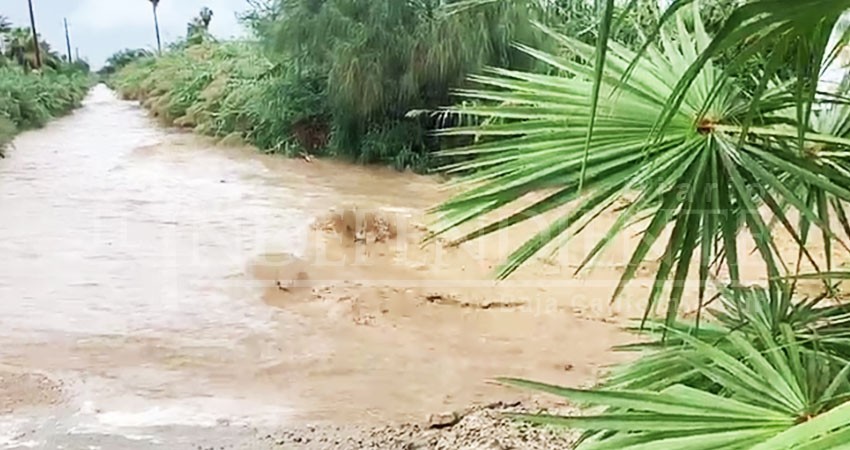 Proyecta Conagua encausar Arroyo San José