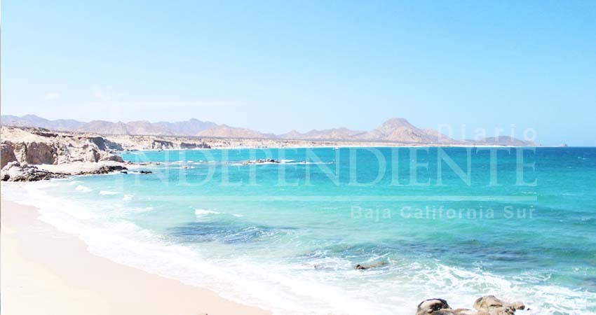 En 10 años, Parque Nacional Cabo Pulmo incrementó 460% su  biomasa