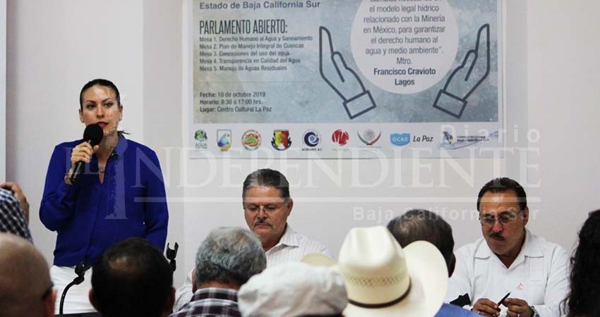 Los ciudadanos no pueden quedarse fuera del debate de ley de aguas: Diputada