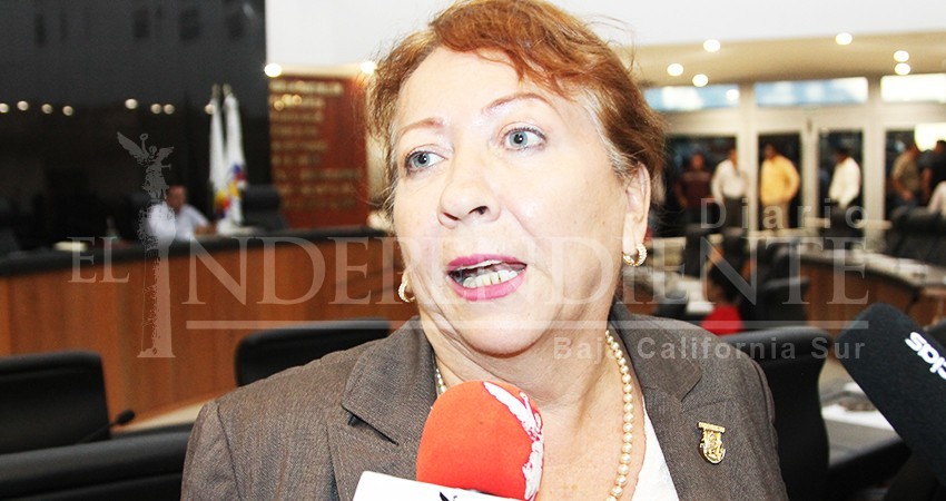 Diputada del PT a Morena: “La sociedad reclama la Ley de Movilidad”