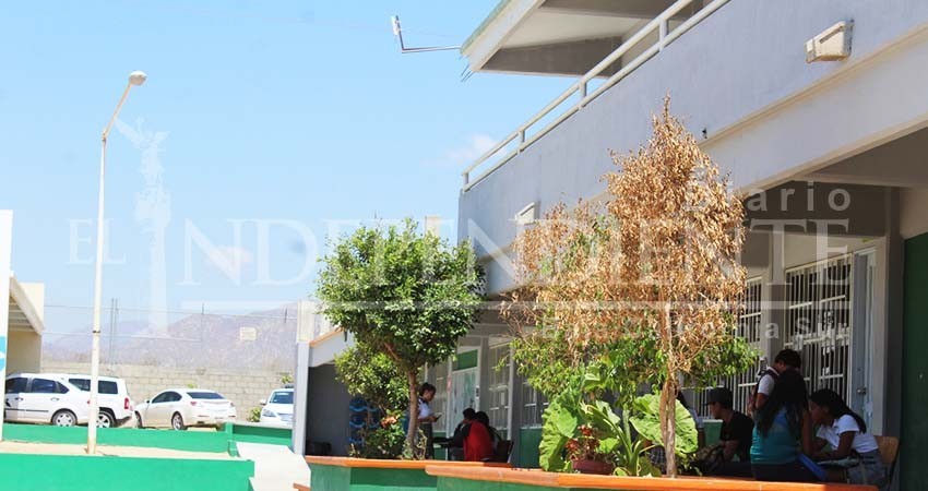 Cecytes de BCS inician hoy paro de labores 