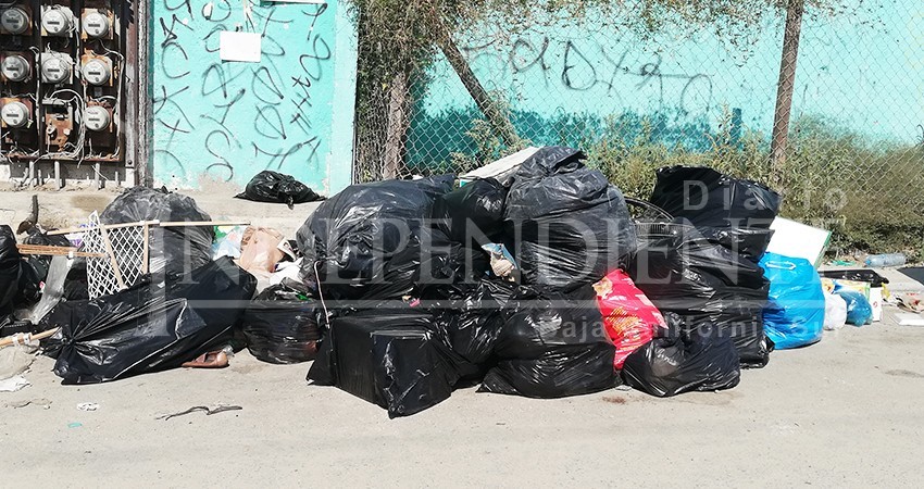 Adolecen de servicios públicos vecinos de colonias Arco Iris y Acuario en CSL