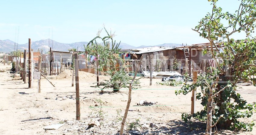 BCS, un estado sin tierra para sus obreros 