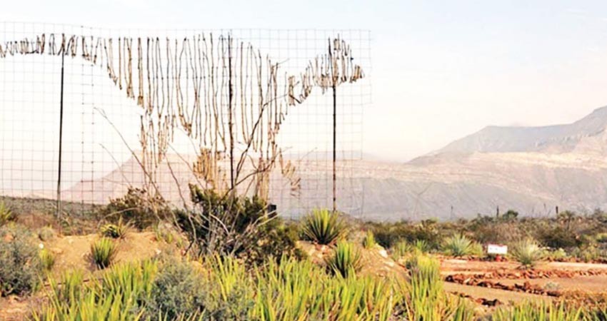 El INAH busca más ingresos; prevén cobros en zonas arqueológicas
