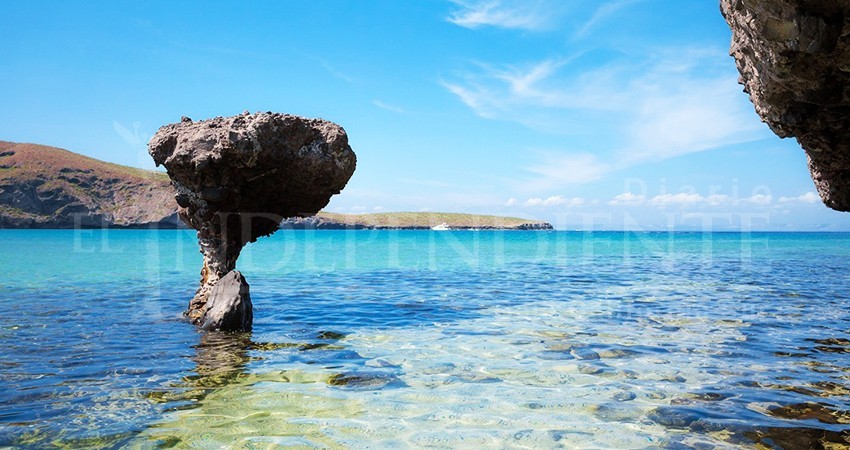 Presentarán “Protocolo Balandra”: Cobro por acceso y “desplastificación”