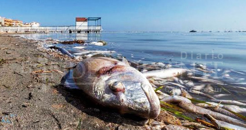 Cambio climático amenaza a pescadores desde BCS hasta Uruguay