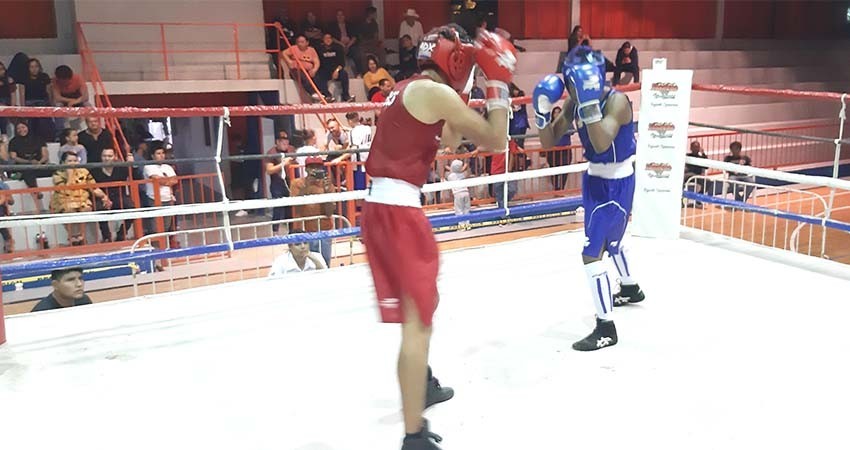 Positivo el Torneo Municipal de Boxeo