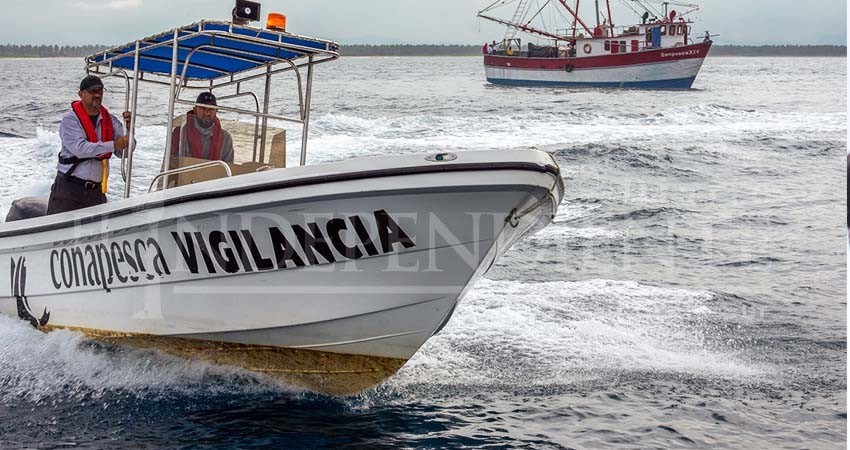 Por austeridad, Conapesca redujo a 7 los inspectores para todo BCS