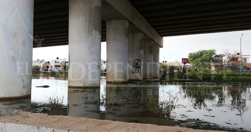 “Ceguera gubernamental” en CSL; enorme laguna de agua sucia y ninguna autoridad la ve
