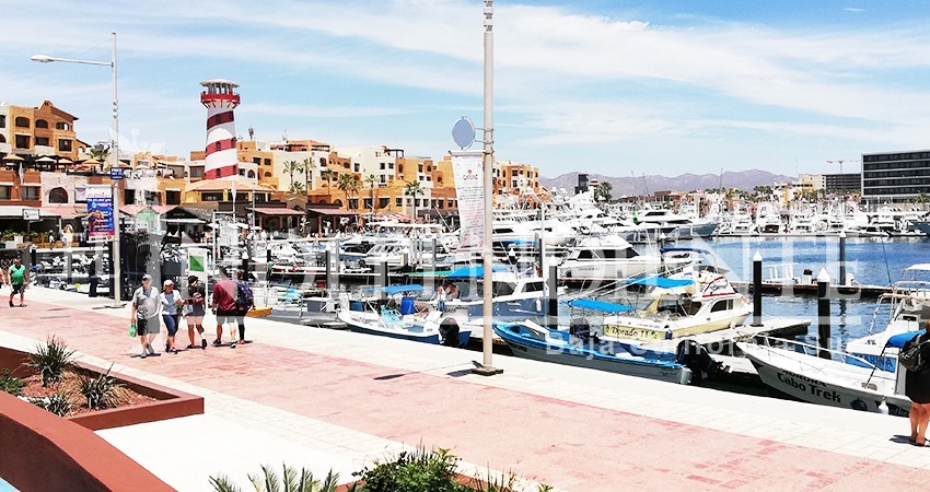 Reconoce Inspección Fiscal problemas con ambulantes y “coyotaje” en marina de CSL