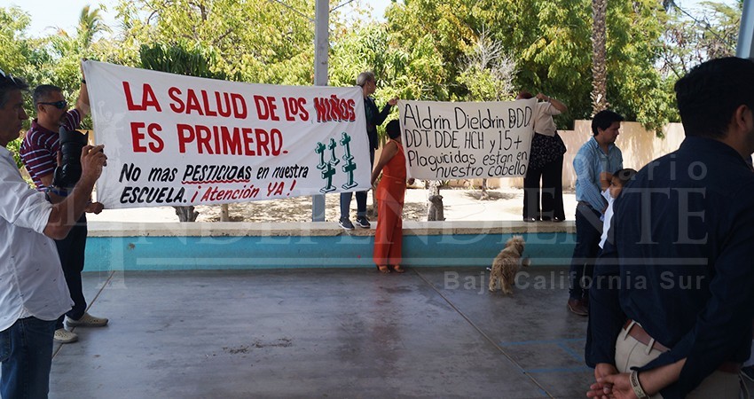 Huerto junto a escuela de Todos Santos no tiene permisos para uso agrícola