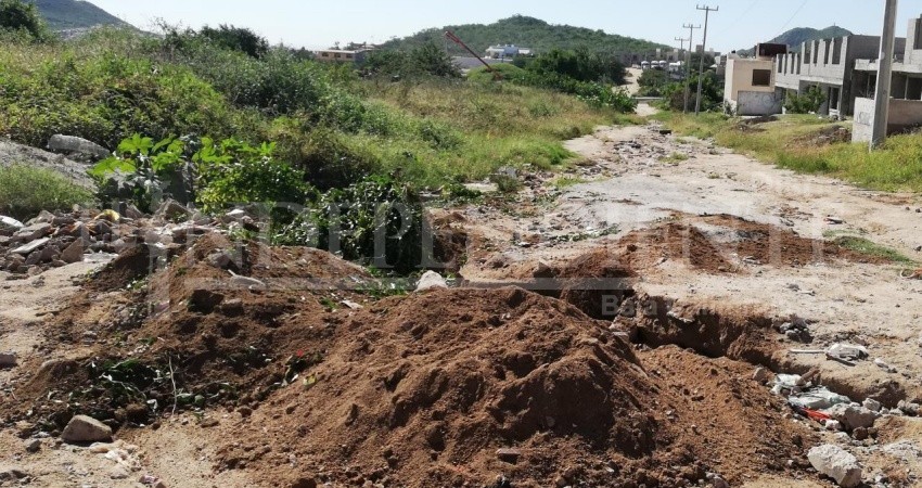 Organiza delegación de CSL limpieza y rehabilitación en el “Cerro de la Z”
