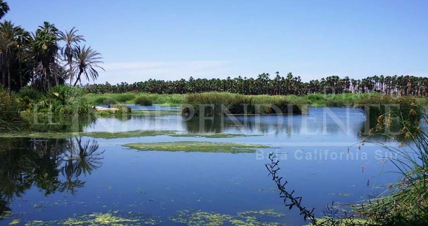 Además del presupuesto al Estero se contará con personal para su protección