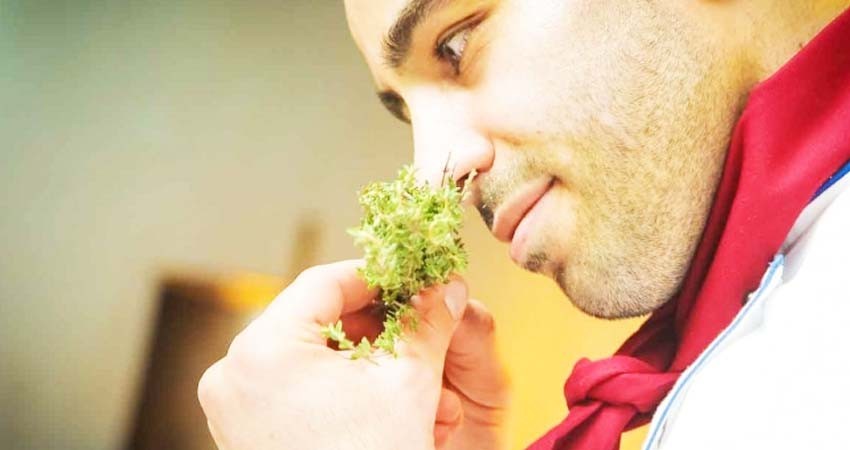 Chef ponía opio en platillos para volver adictos a clientes