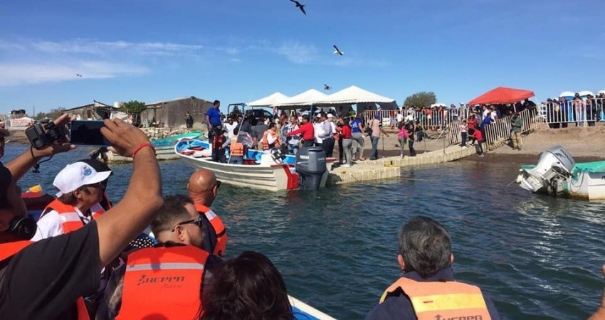Aumentan solicitudes para el avistamiento de la Ballena Gris en Puerto Chale