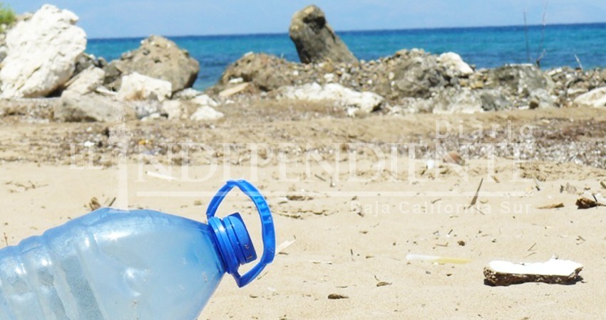 Esta es la basura más común que dejan los paceños en sus playas