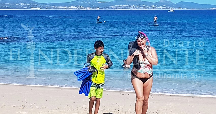 Renate Herberger nadará imparablemente por la Vaquita Marina