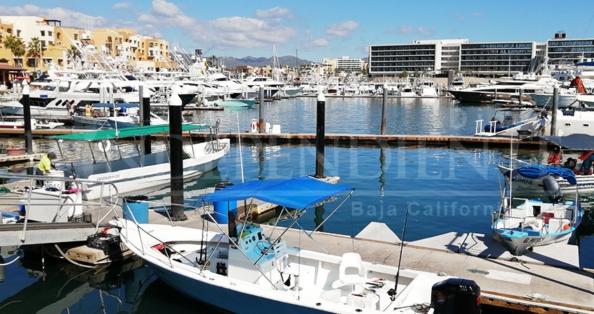 Retiran de la marina turística de Cabo San Lucas hasta doce mil metros cúbicos de lodo y grasa 