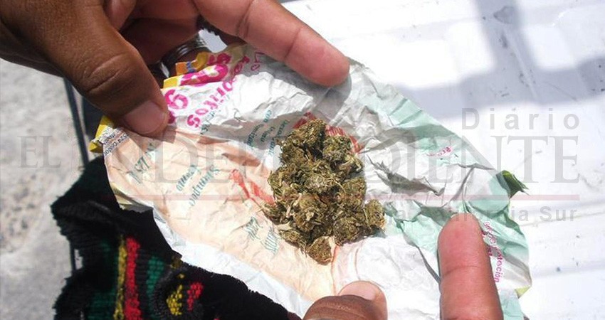 Detenciones policiales por portar cantidades permitidas de marihuana son ilegales: CEDH