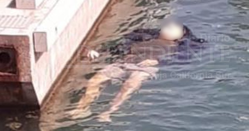 Localizan un hombre sin vida flotando en el malecón de La Paz