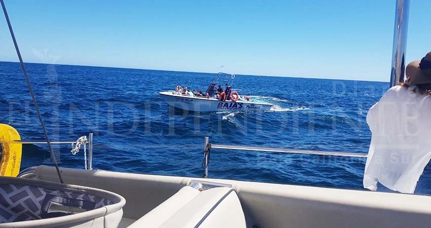 De nueva cuenta captan a embarcaciones violando NOM-0131 de avistamiento de ballenas