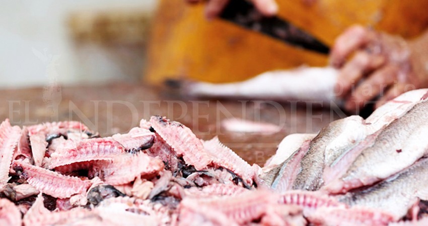 Residuos pesqueros, otro contaminante que está propiciando nuevos tiraderos clandestinos