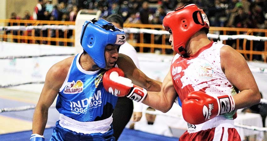 Domina La Paz el boxeo estatal