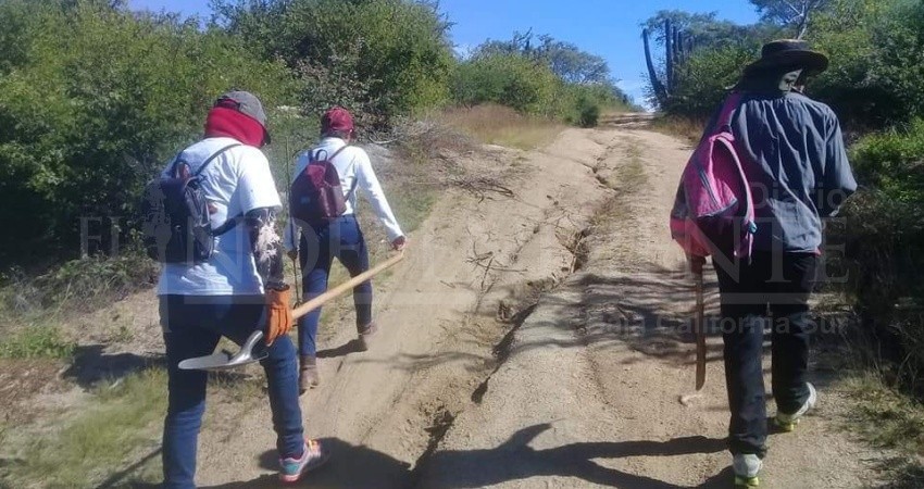 En lo que va del año, registran colectivos de búsqueda 16 casos de personas desaparecidas en BCS 