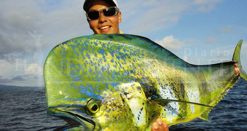 Lista comitiva de BCS para defender al Dorado en el Congreso de la Unión 