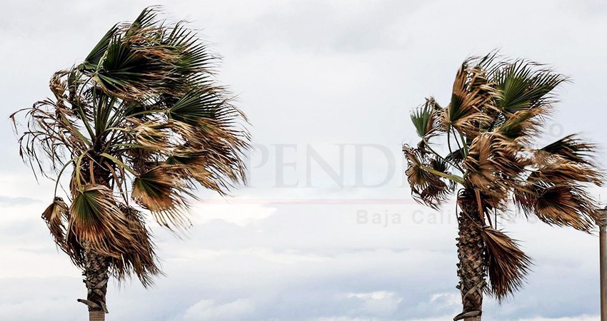 Rachas de hasta 80 km/h persistirán en BCS durante las siguientes 48 horas