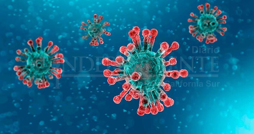 BCS libre de Coronavirus; reforzarán cercos sanitarios en la entidad, afirma SSA