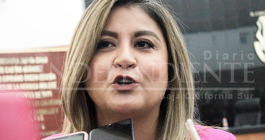 IEE tiene claras “lagunas” de paridad de género en la Ley Electoral: Rubio Avilés