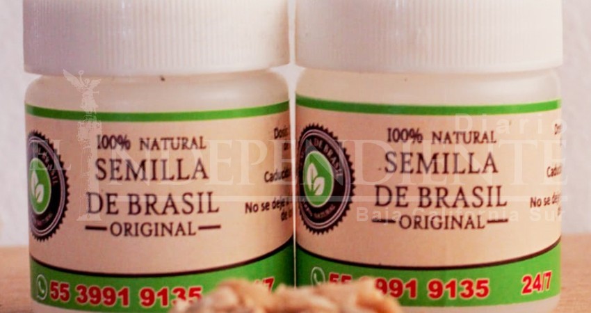 Semilla de Brasil para bajar de peso, una amenaza para la salud: COEPRIS 