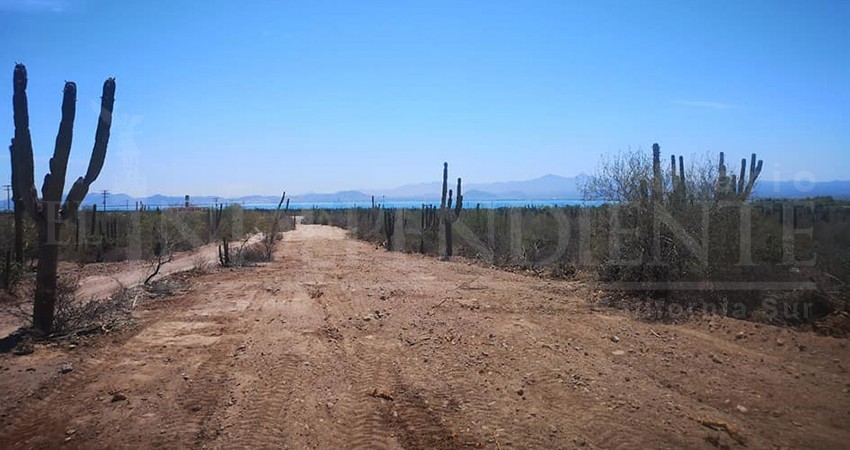 Con más de 1.3 mdp multan a empresa por tala de vegetación en El Centenario