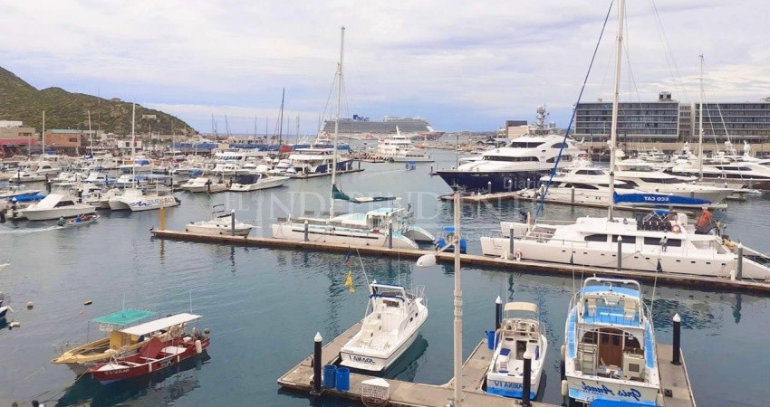 Estima API perdidas por casi 2 millones de dólares por cancelación  de cruceros a Los Cabos