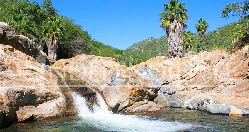 Se sancionó a particulares que deforestaban Sierra de la Laguna
